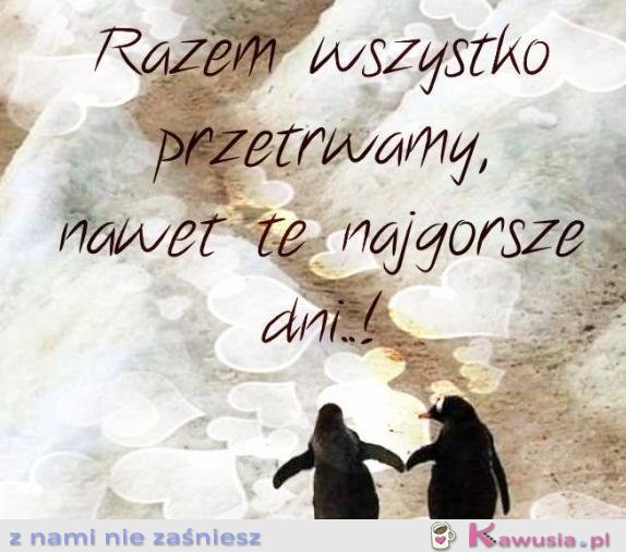 Razem wszystko przetrwamy