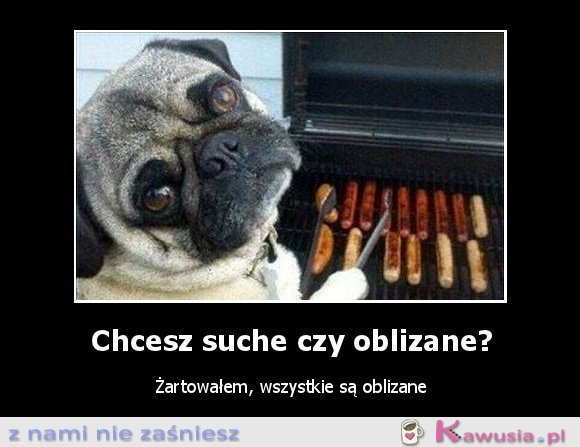 Chcesz suche czy oblizane?