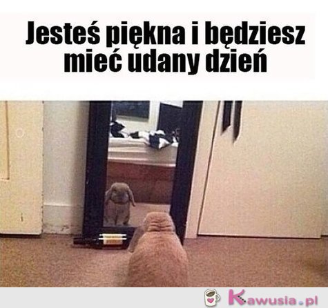 Jesteś piękna