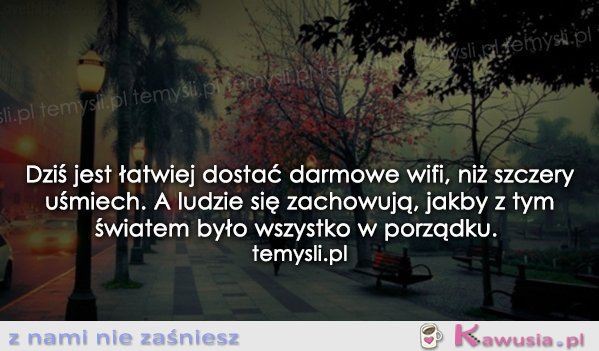Darmowe wi-fi