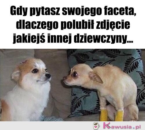 No pytam się..