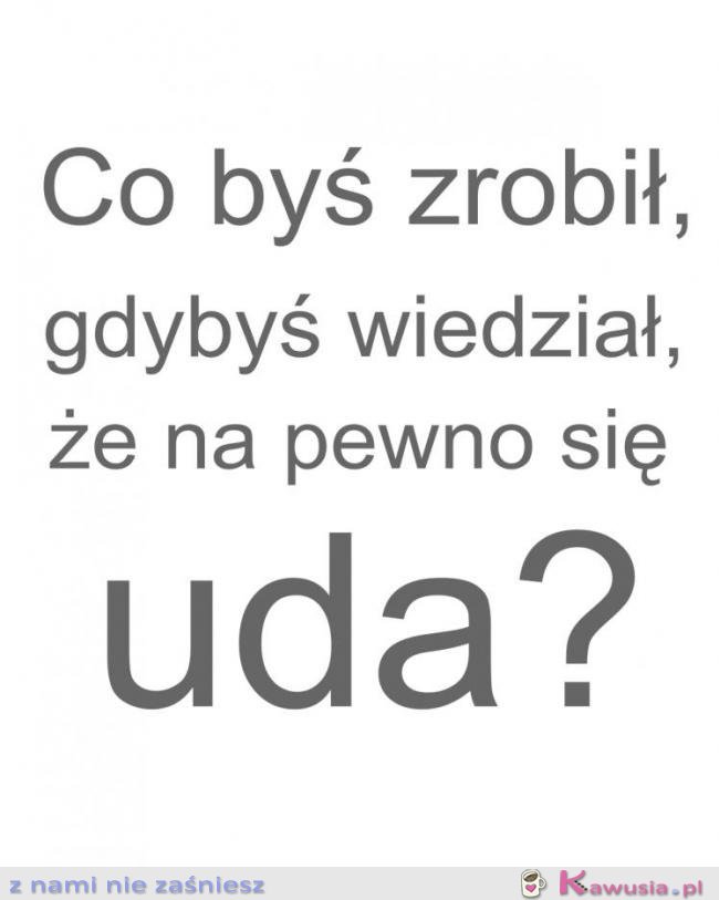 Co byś zrobił?