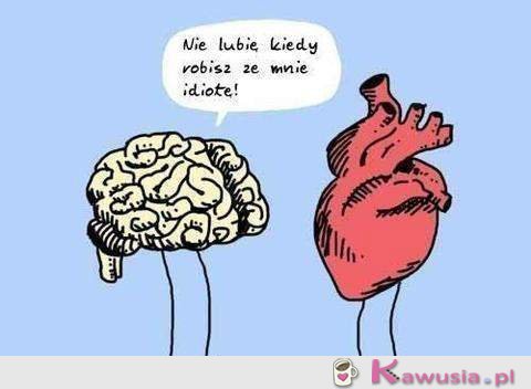 Nie lubie kiedy robisz ze mnie idiotę!