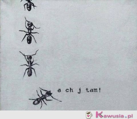 Podążaj swoją własną drogą