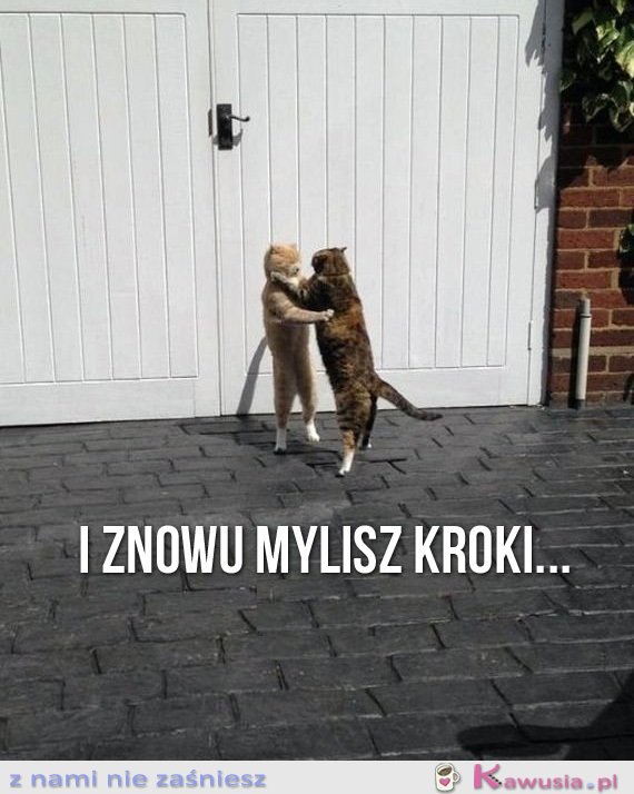 I znowu mylisz kroki