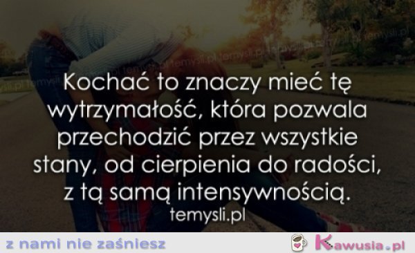 Kochać to znaczy...