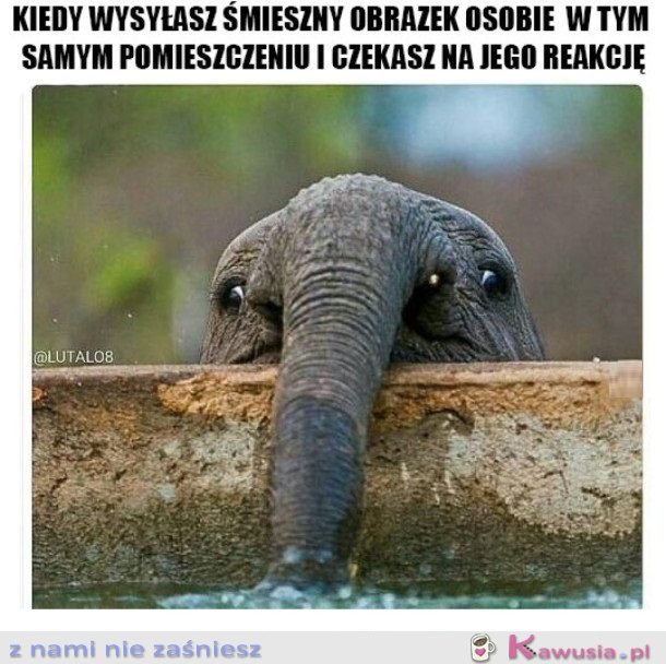 KIEDY WYSYŁASZ KOMUŚ ŚMIESZNY OBRAZEK