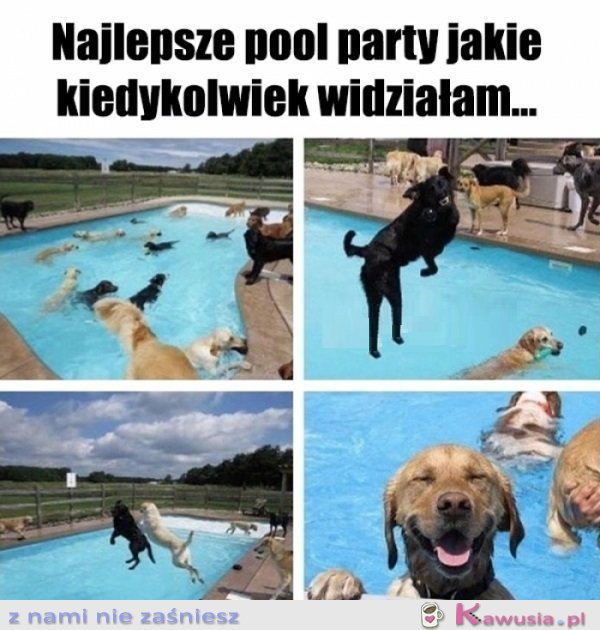 A moje zaproszenie zaginęło?!