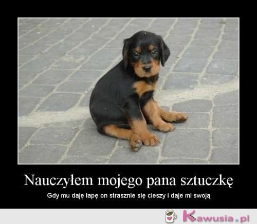 Nauczyłem mojego Pana