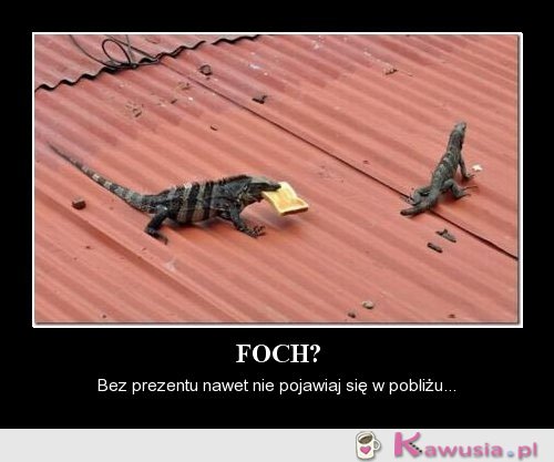 FOCH  