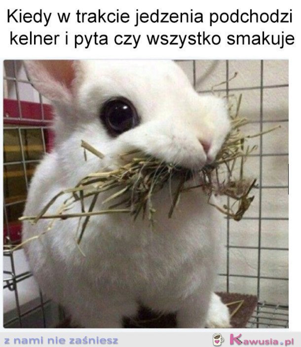 Kiedy jesz i podchodzi z kelner