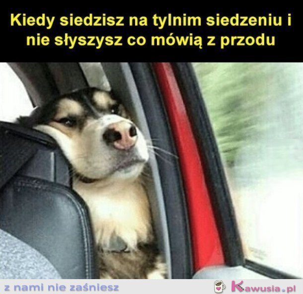 No m&oacute;wcie głośniej