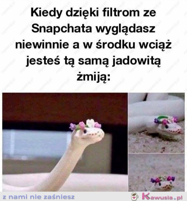 Filtry ze snapczata