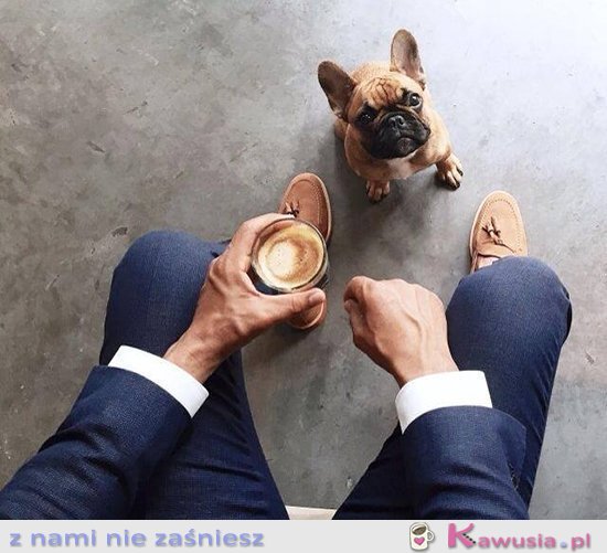 No witam...