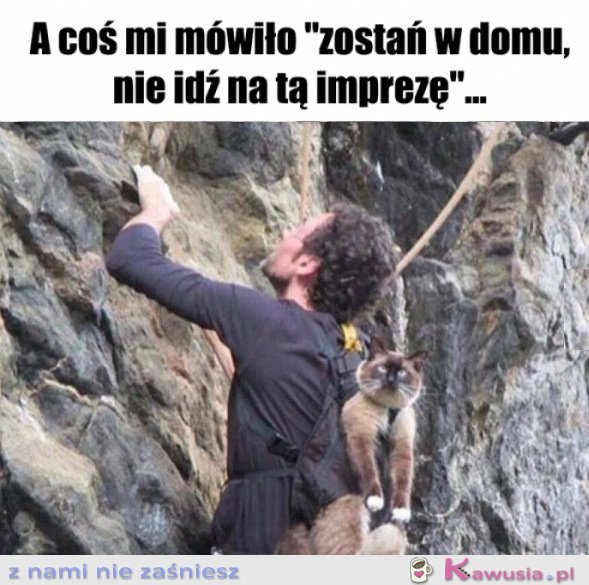 Trzeba było słuchać intuicji...
