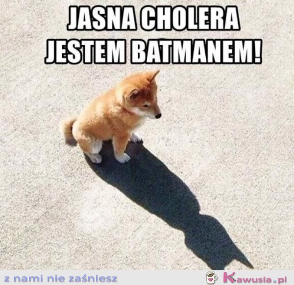 Jestę Batmanę