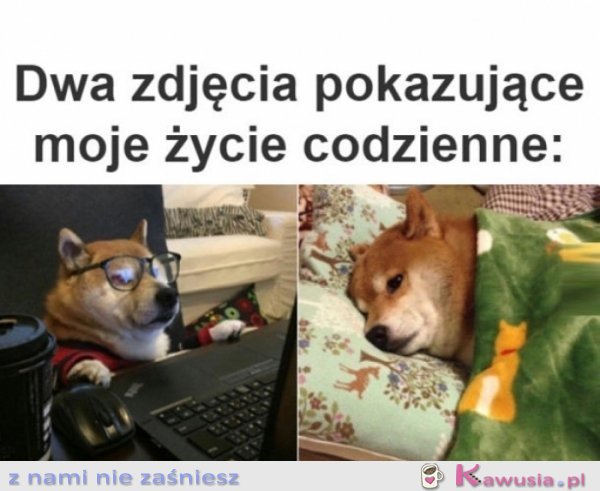 Dwa zdjęcia pokazujące moje życie