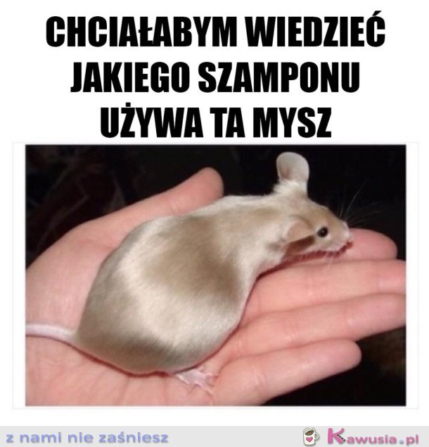 BARDZO PRAGNĘ TEJ INFORMACJI