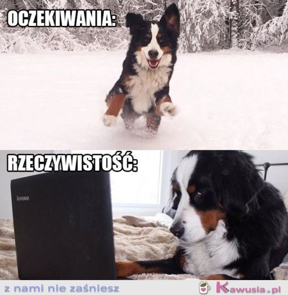 MOJA ZIMA