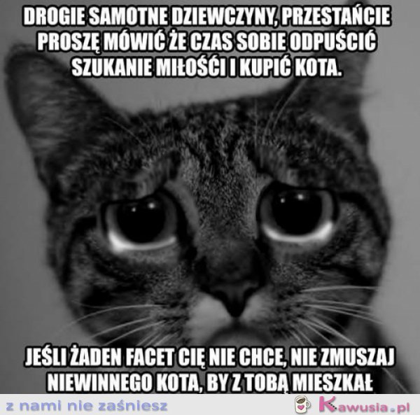 Drogie samotne dziewczyny...