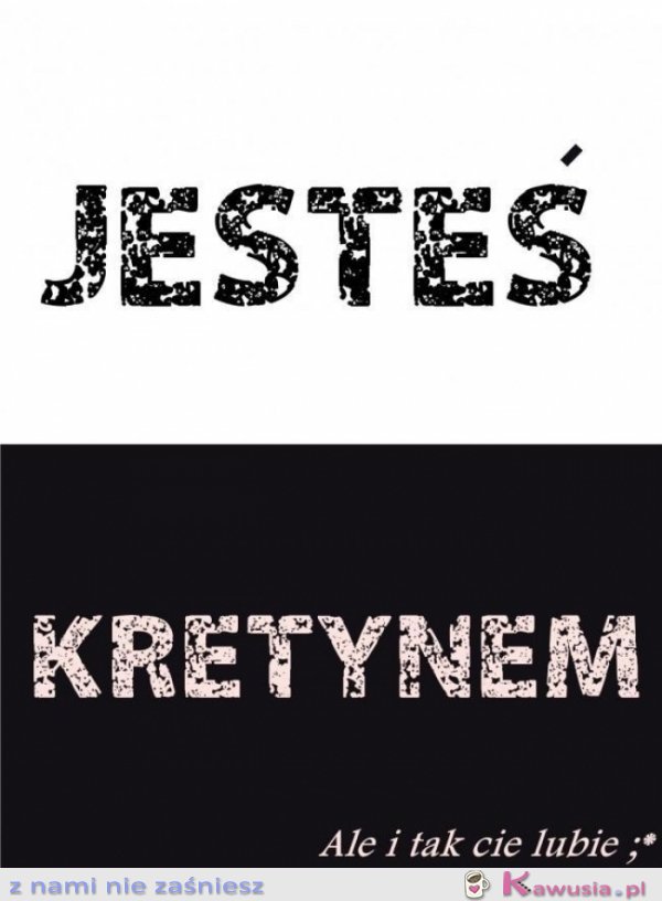 Jesteś kretynem