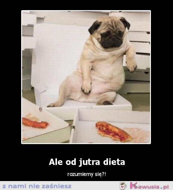 Od jutra dieta...