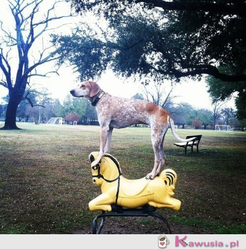 Że co? Że nie powinienem?