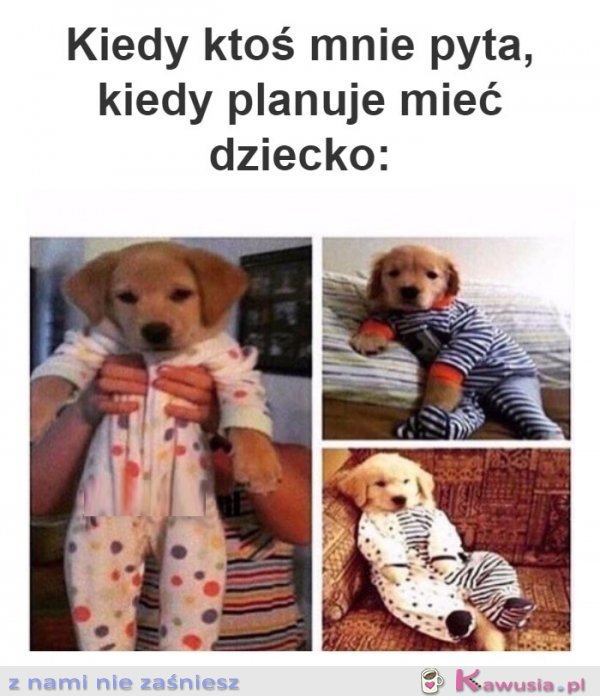 Czy ty planujesz mieć dziecko