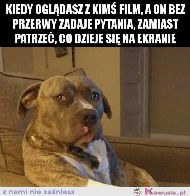 Filmy lubię oglądać sama