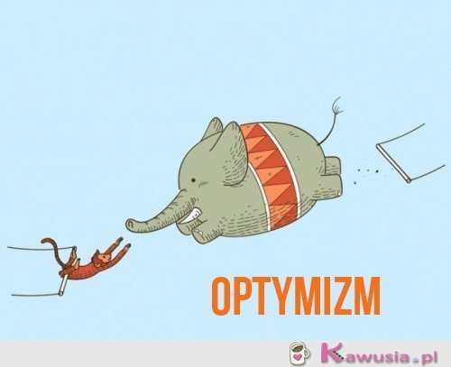 Optymizm