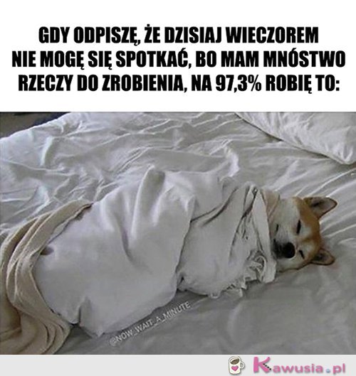 Nie wiem w co ręce włożyć...