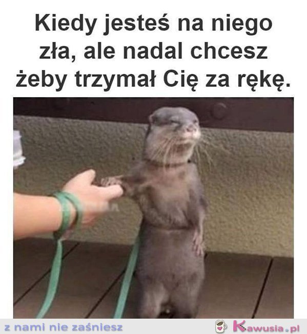 Kiedy jesteś na niego zła, ale...