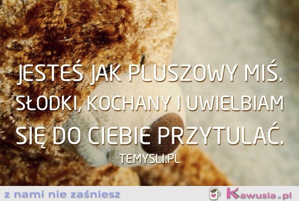 Jesteś jak pluszowy miś