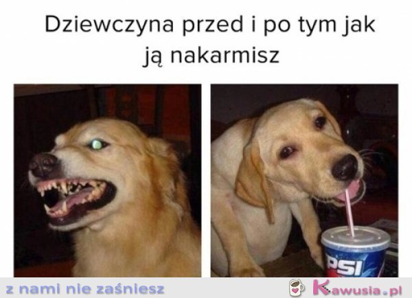 Dziewczyna po tym jak ją nakarmisz