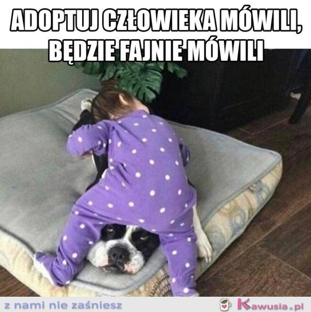 ADOPCJA CZŁOWIEKA