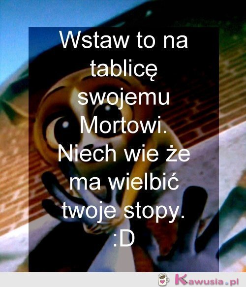 Wielb moje stopy ;)