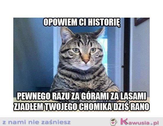 Opowiem ci historię