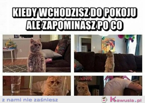 Skleroza nie boli...