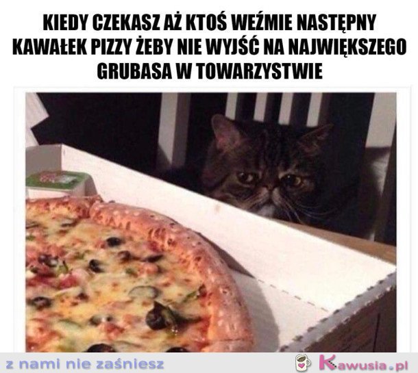 NIE CHCĘ WYJŚĆ NA GRUBASA