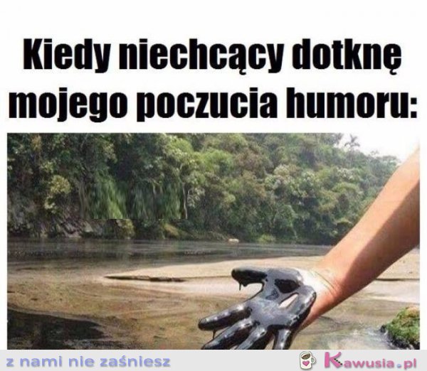 Ja i moje poczucie humoru