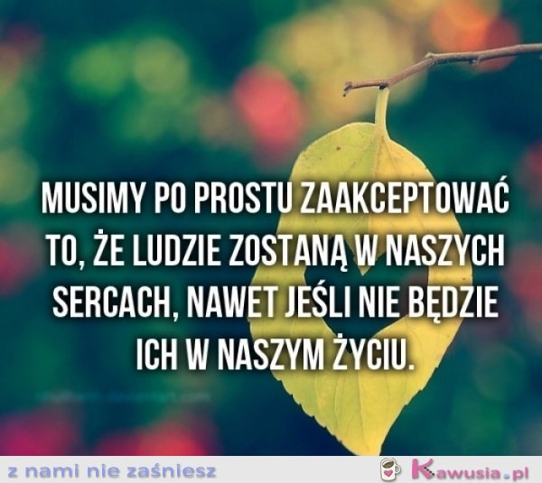 Musimy po prostu...