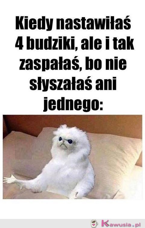 Kiedy nastawiłaś 4 budziki