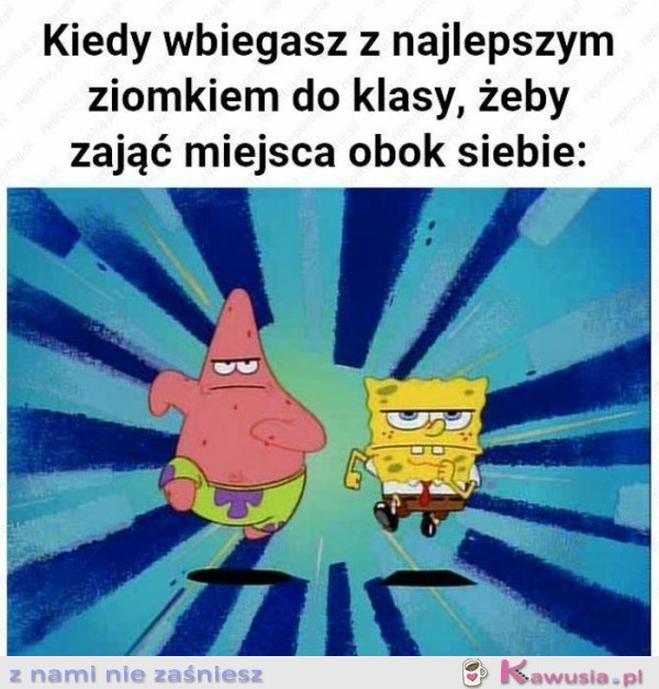 Damy radę, co roku dajemy