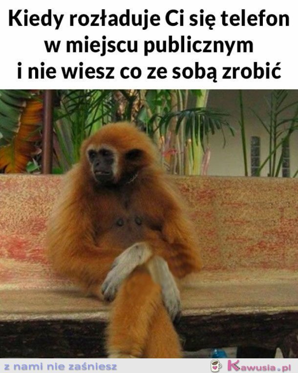 TO UCZUCIE