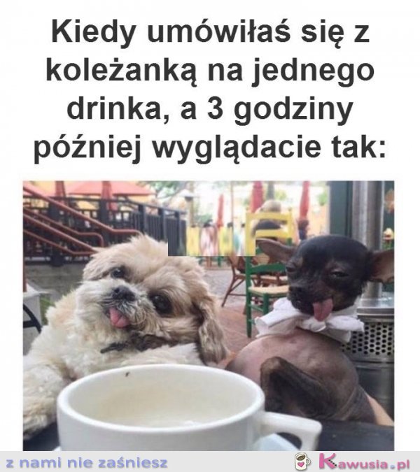 Kochana tylko jeden drink