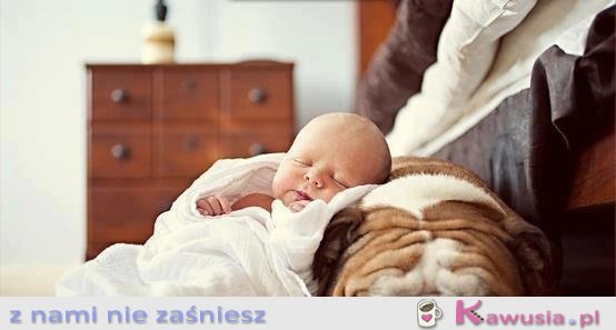 Słodko!