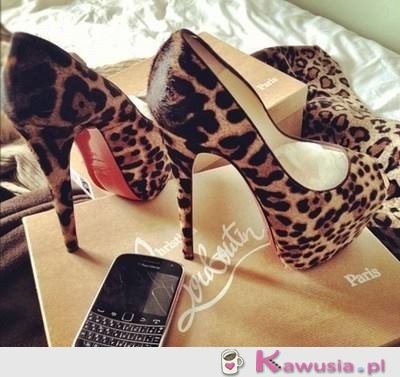 Szpilki Louboutin i panterka