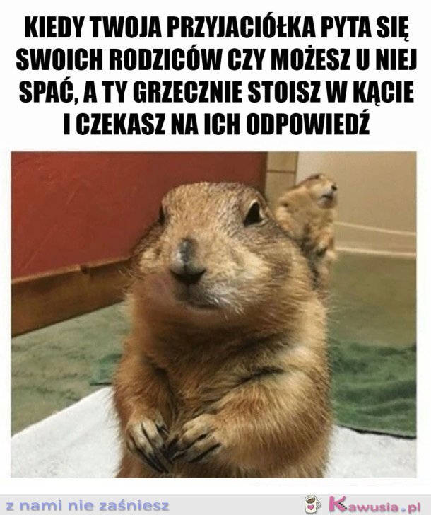 ZA KAŻDYM RAZEM