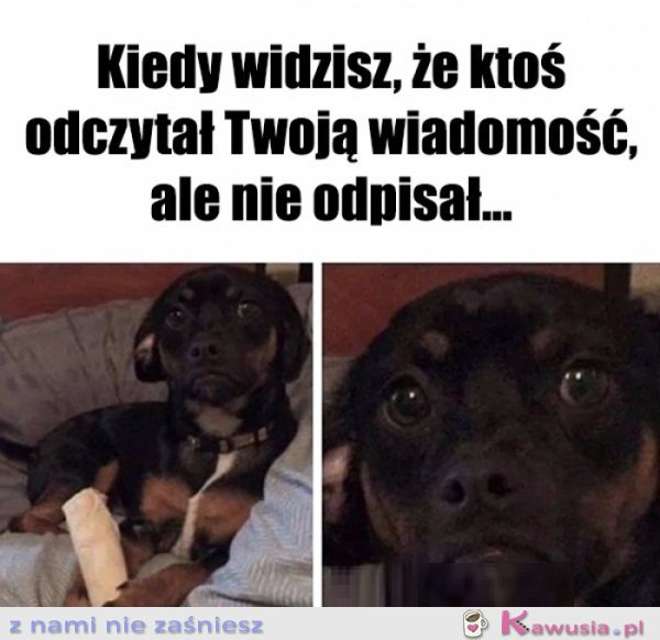 Jeszcze zobaczymy...