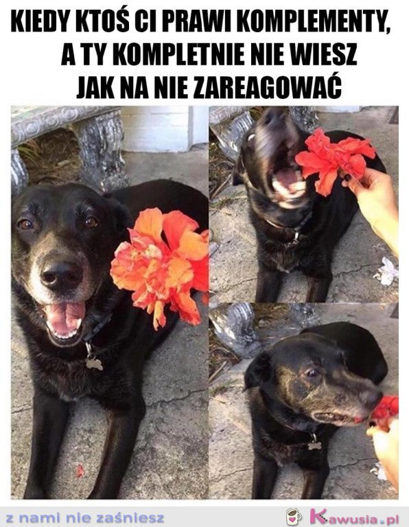 JESTEM TAKA SKROMNA I SPESZONA